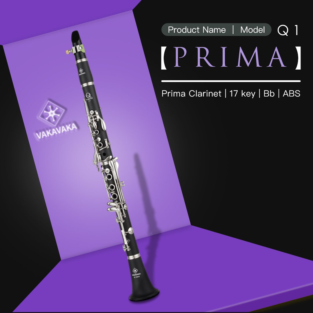 Q-MAX Q1 - Premium High-Density Resin Clarinet | Professional Bore Design for Beginners